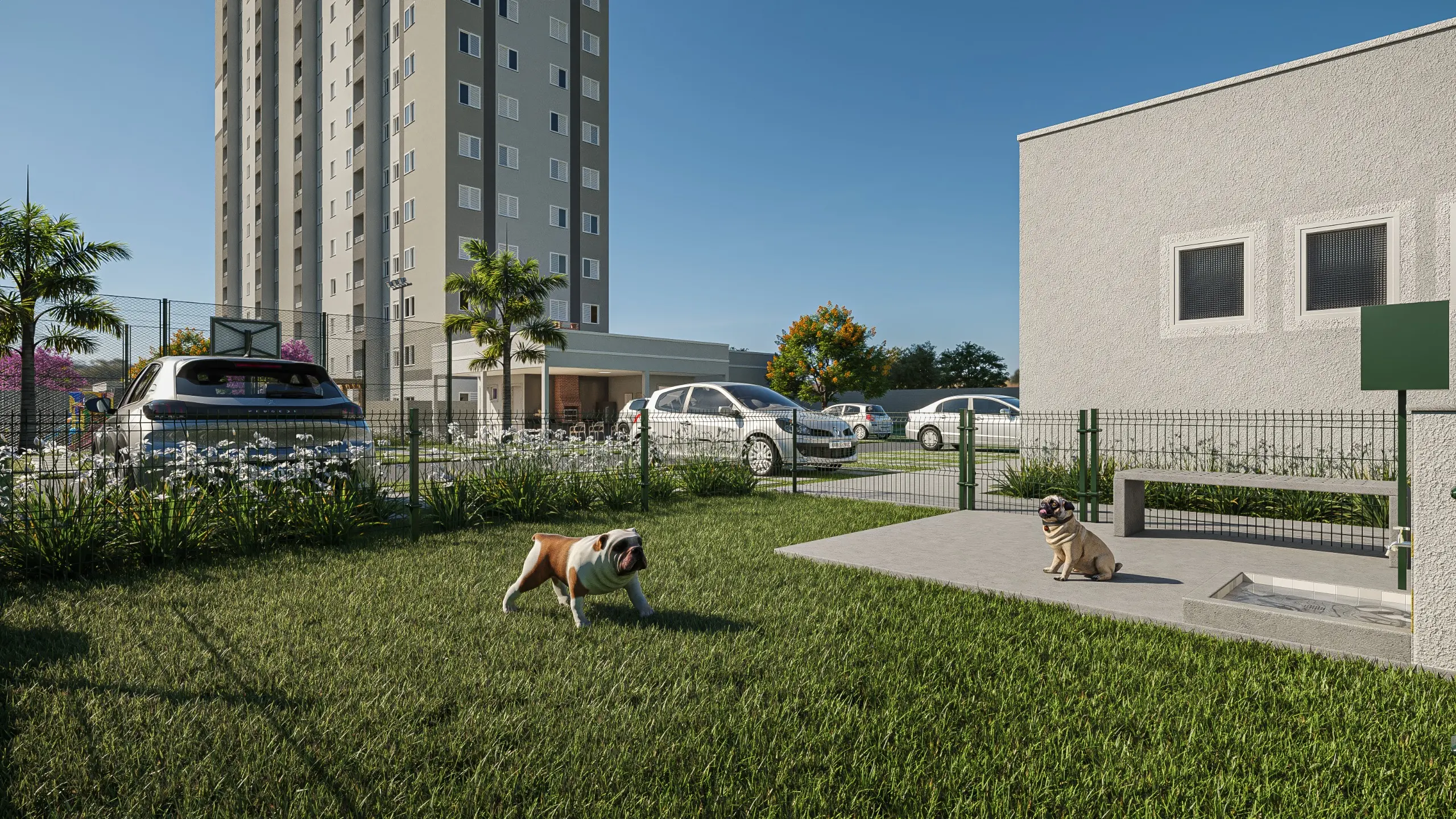 Campo di Espanha Petplace